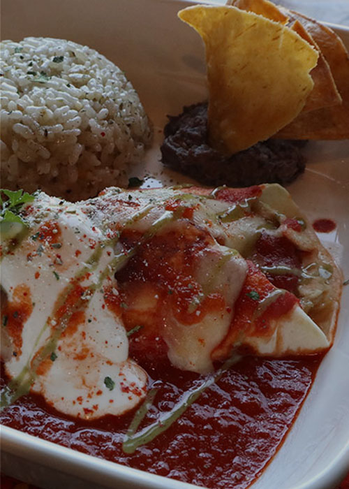 鳥取・湯梨浜のメキシコ料理店tiny kitchen smooth(タイニーキッチンスムース)のチキン・エンチラーダ