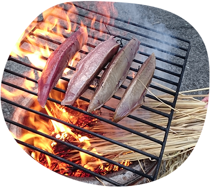 鳥取・湯梨浜のメキシコ料理店tiny kitchen smooth(タイニーキッチンスムース)のライブイベント