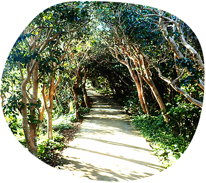 鳥取・湯梨浜のメキシコ料理店tiny kitchen smooth(タイニーキッチンスムース)のライブイベント