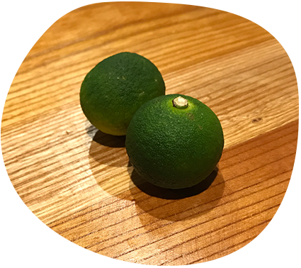 鳥取・湯梨浜のメキシコ料理店tiny kitchen smooth(タイニーキッチンスムース)のライブイベント